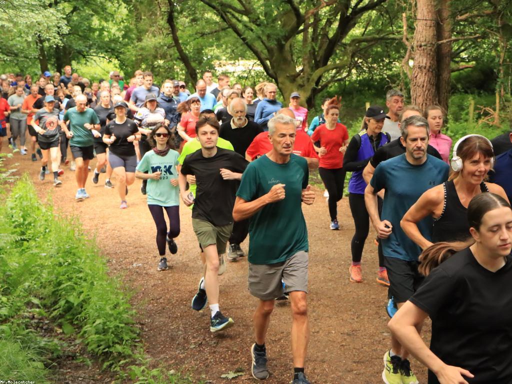 ព័ត៌មាននិងការប្រកួតជាការលេង