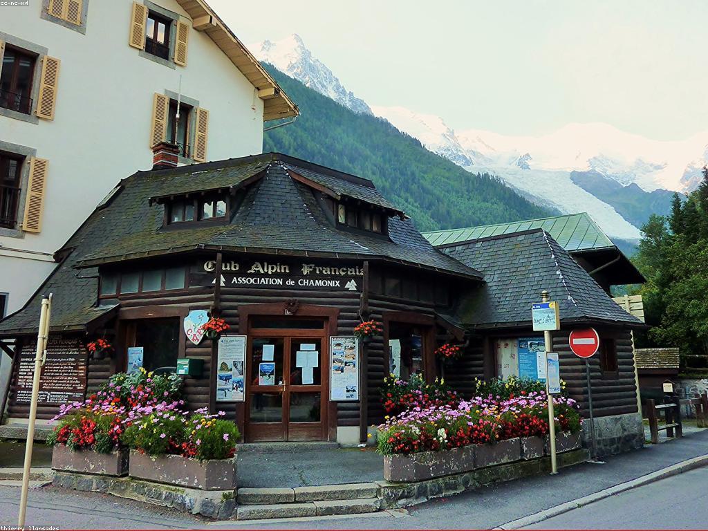 ការយល់ដឹងអំពីពាក្យជាអក្សរ និងសព្វវចនាធិប្បាយនៅក្នុងកាស៊ីណូ