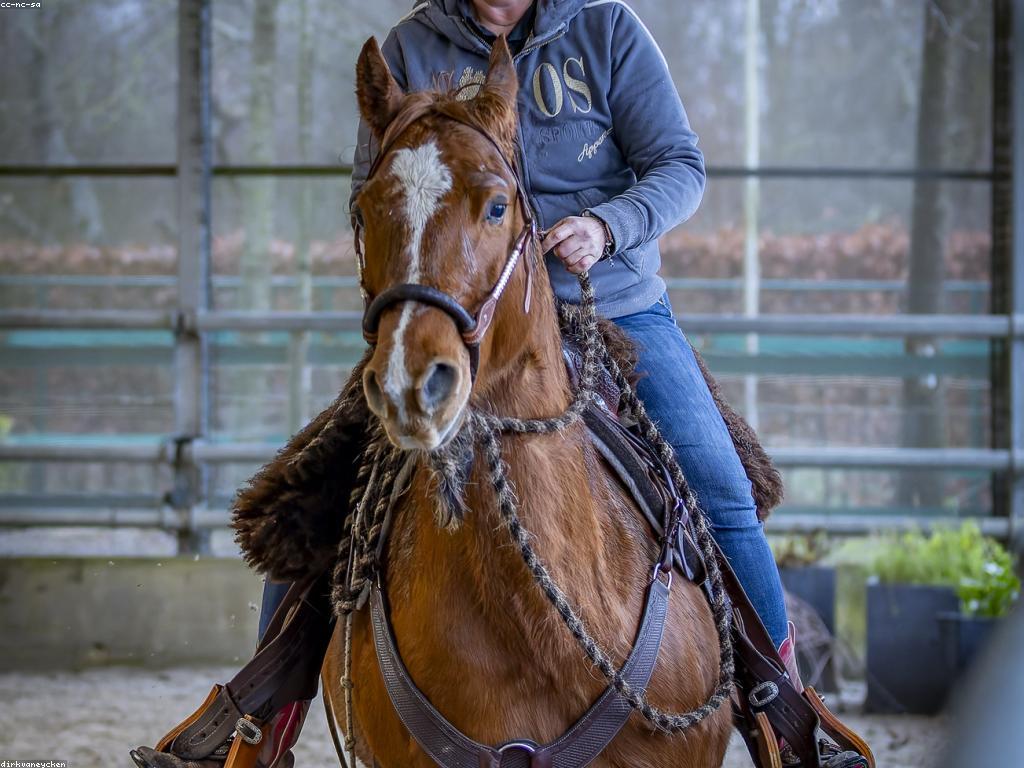 ការប្រកួត និងព្រឹត្តិប័ត្រ: ប្រភពព័ត៌មានថ្មីៗ និងការវិភាគ