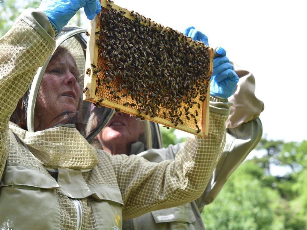 ឱកាសឈ្នះក្នុងវិស័យអប់រំ