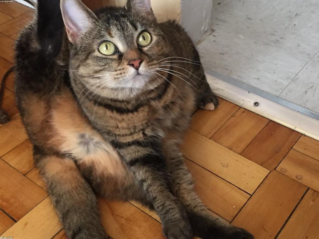 ការប្រកួត និងព្រឹត្តិប័ត្រ: ព័ត៌មានថ្មីៗ និងការប្រកួតសំខាន់ៗ